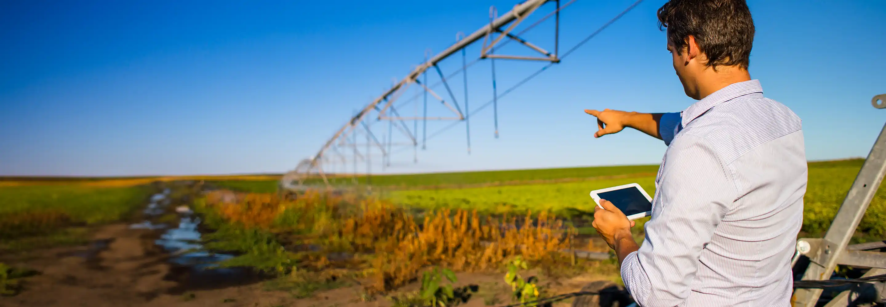 Agriculture with Satellite