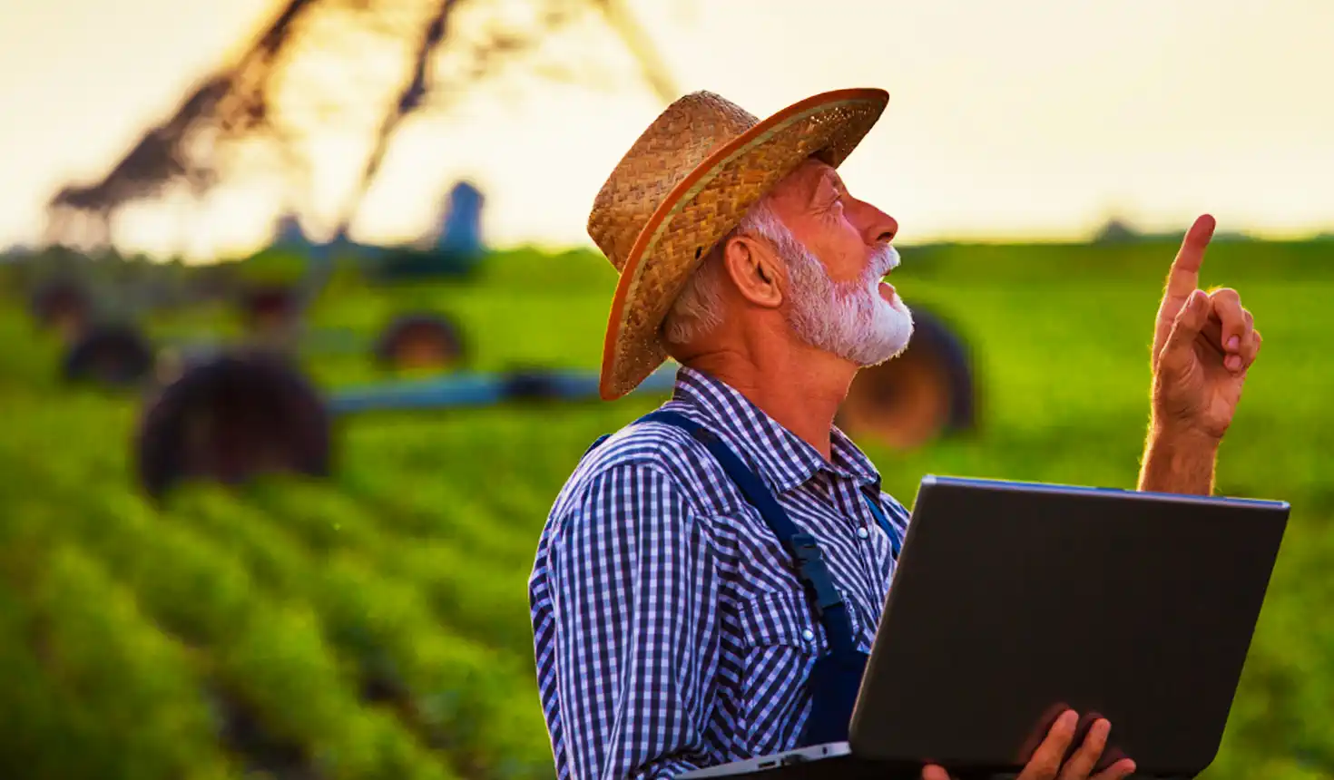 People checking agriculture